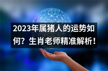 2025年属猪人的运势如何？生肖老师精准解析！