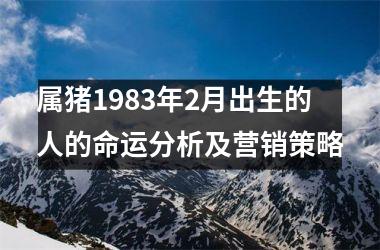 属猪1983年2月出生的人的命运分析及营销策略