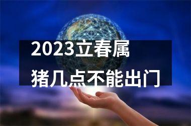 2025立春属猪几点不能出门