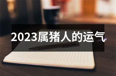 2025属猪人的运气