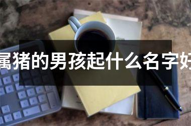 属猪的男孩起什么名字好