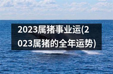 2025属猪事业运(2025属猪的全年运势)