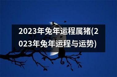 2025年兔年运程属猪(2025年兔年运程与运势)