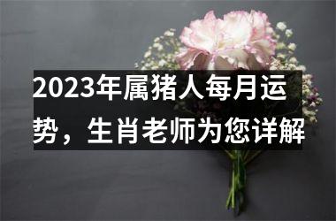 2025年属猪人每月运势，生肖老师为您详解