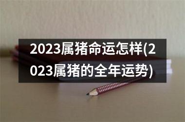 2025属猪命运怎样(2025属猪的全年运势)