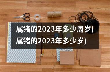 属猪的2025年多少周岁(属猪的2025年多少岁)