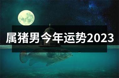 属猪男今年运势2025