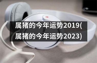 属猪的今年运势2019(属猪的今年运势2025)