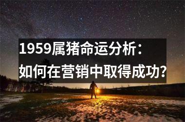 1959属猪命运分析：如何在营销中取得成功？