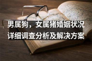 男属狗，女属猪婚姻状况详细调查分析及解决方案