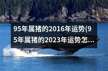 95年属猪的2016年运势(95年属猪的2025年运势怎么样)