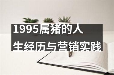 1995属猪的人生经历与营销实践