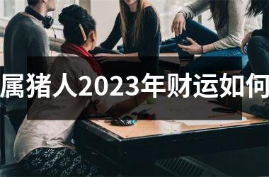 属猪人2025年财运如何