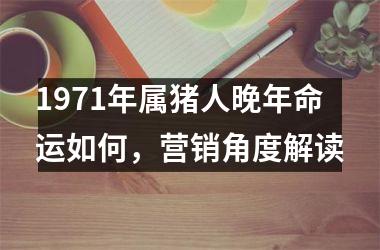 1971年属猪人晚年命运如何，营销角度解读