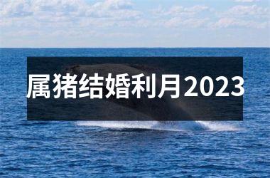 属猪结婚利月2025