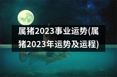 属猪2025事业运势(属猪2025年运势及运程)