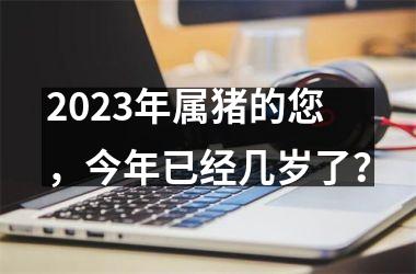 <h3>2025年属猪的您，今年已经几岁了？