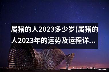 属猪的人2025多少岁(属猪的人2025年的运势及运程详解)