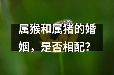 属猴和属猪的婚姻，是否相配？