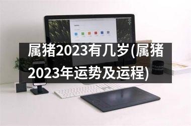 属猪2025有几岁(属猪2025年运势及运程)