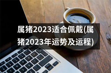 属猪2025适合佩戴(属猪2025年运势及运程)