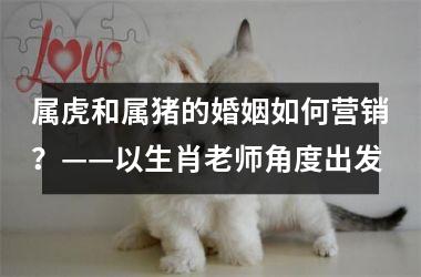 <h3>属虎和属猪的婚姻如何营销？——以生肖老师角度出发