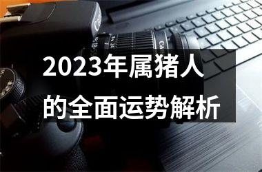 2025年属猪人的全面运势解析