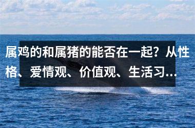 属鸡的和属猪的能否在一起？从性格、爱情观、价值观、生活习惯四个方面解析