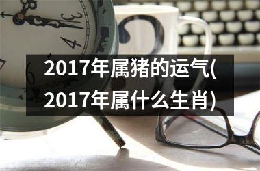 2017年属猪的运气(2017年属什么生肖)