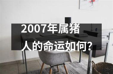 2007年属猪人的命运如何？