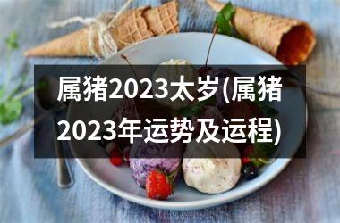 属猪2025太岁(属猪2025年运势及运程)