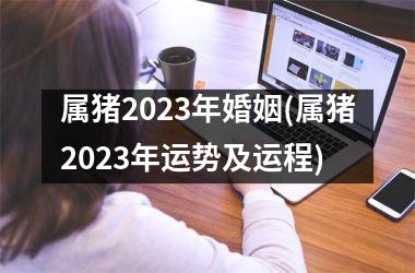 属猪2025年婚姻(属猪2025年运势及运程)