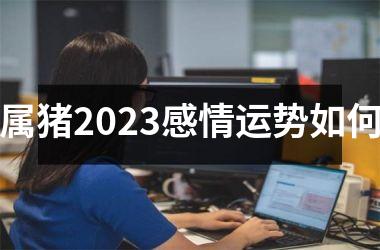 属猪2025感情运势如何