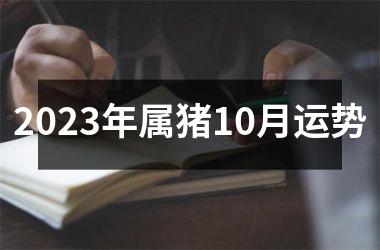 2025年属猪10月运势