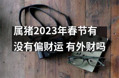 属猪2025年春节有没有偏财运 有外财吗