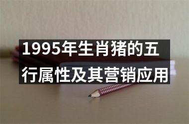 1995年生肖猪的五行属性及其营销应用