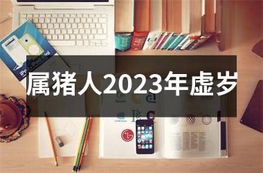 属猪人2025年虚岁