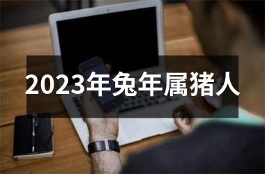 <h3>2025年兔年属猪人