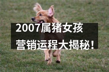 2007属猪女孩营销运程大揭秘！