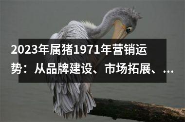 2025年属猪1971年营销运势：从品牌建设、市场拓展、客户服务、竞争对手四个方面分析