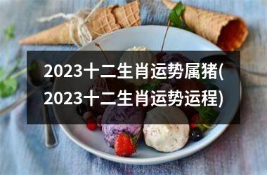 2025十二生肖运势属猪(2025十二生肖运势运程)