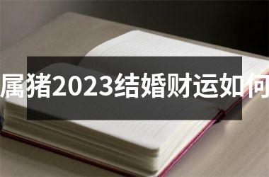 属猪2025结婚财运如何