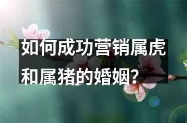 <h3>如何成功营销属虎和属猪的婚姻？