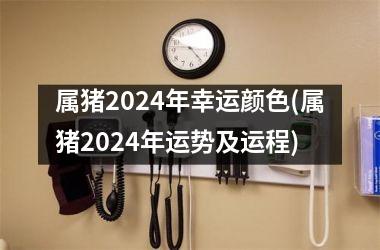 属猪2024年幸运颜色(属猪2024年运势及运程)