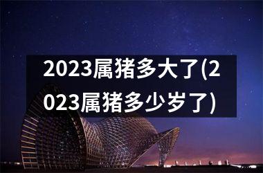 2025属猪多大了(2025属猪多少岁了)