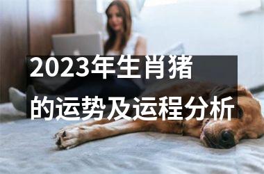 <h3>2025年生肖猪的运势及运程分析