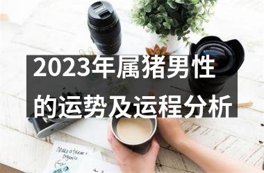 2025年属猪男性的运势及运程分析