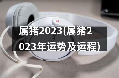 <h3>属猪2025(属猪2025年运势及运程)