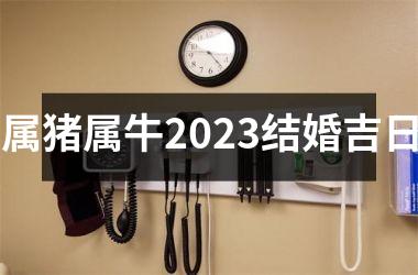 <h3>属猪属牛2025结婚吉日