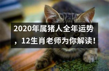 2025年属猪人全年运势，12生肖老师为你解读！